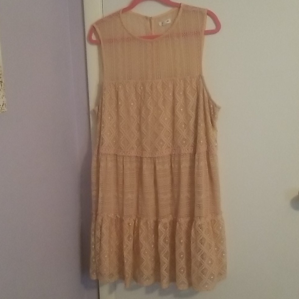 Skylar & Jade Peach Lace Dress 2X